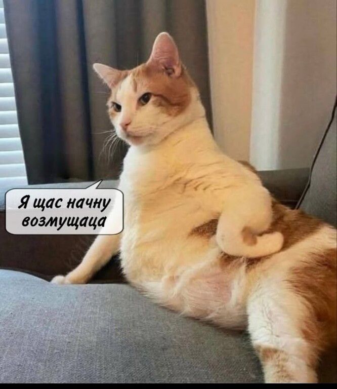 Я щас начну возмущаться