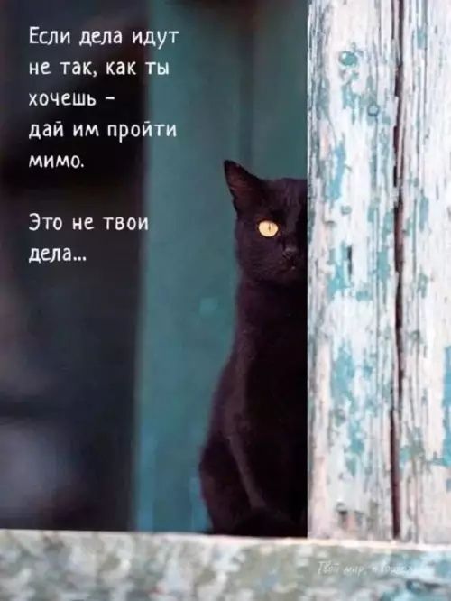 Если дела идут
не так, как ты хочешь -
dай им пройти
мимо.
Это не твои
дела...