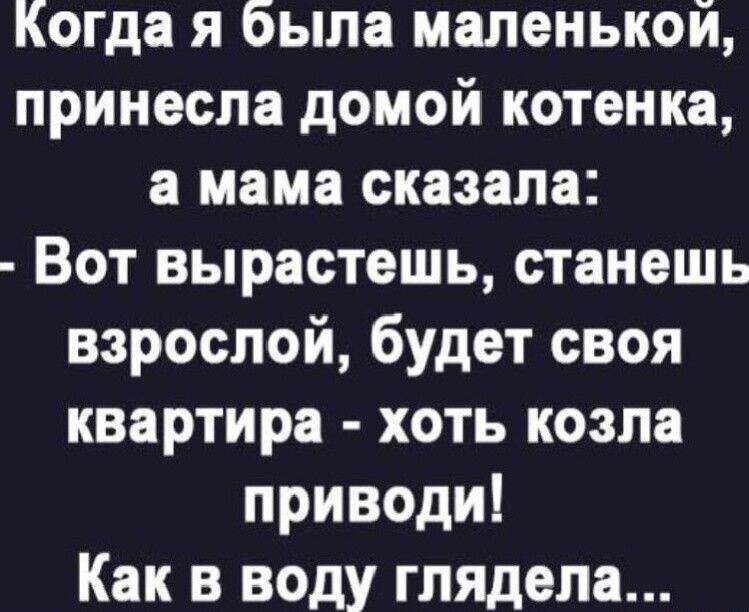 Когда я была маленькой, принесла домой котенка, а мама сказала: - Вот вырастешь, станешь взрослой, будет своя квартира - хоть козла приводи! Как в воду глядела...