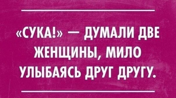 «СУКА!» — ДУМАЛИ ДВЕ ЖЕНЩИНЫ, МИЛО УЛЫБАЯСЬ ДРУГ ДРУГУ.