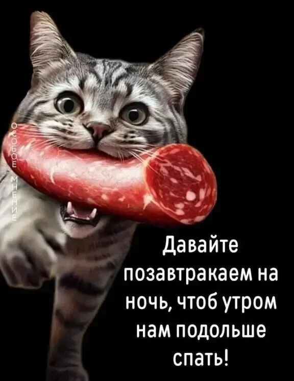 Давайте позавтракаем на ночь, чтоб утром нам подольше спать!