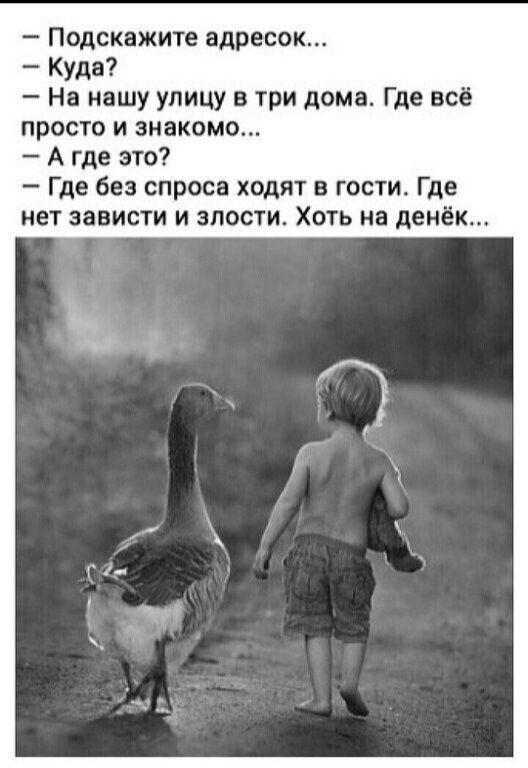 — Подскажите адресок...
— Куда?
— На нашу улицу в три дома. Где всё просто и знакомо...
— А где это?
— Где без спроса ходят в гости. Где нет зависти и злости. Хоть на денёк...