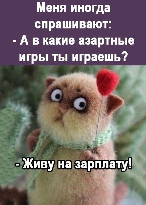 Меня иногда спрашивают: - А в какие азартные игры ты играешь?
- Живу на зарплату!