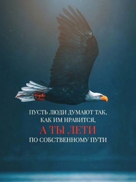 ПУСТЬ ЛЮДИ ДУМАЮТ ТАК, КАК ИМ НРАВИТСЯ, А ТЫ ЛЕТИ ПО СОБСТВЕННОМУ ПУТИ