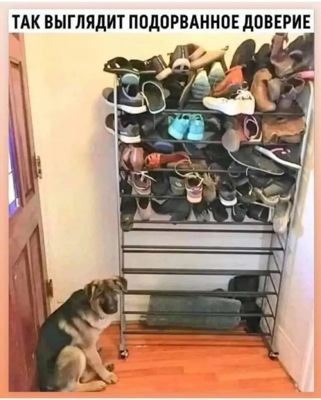 ТАК ВЫГЛЯДИТ ПОДОРВАННОЕ ДОВЕРИЕ
