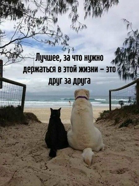 Лучшее, за что нужно держаться в этой жизни – это друг за друга