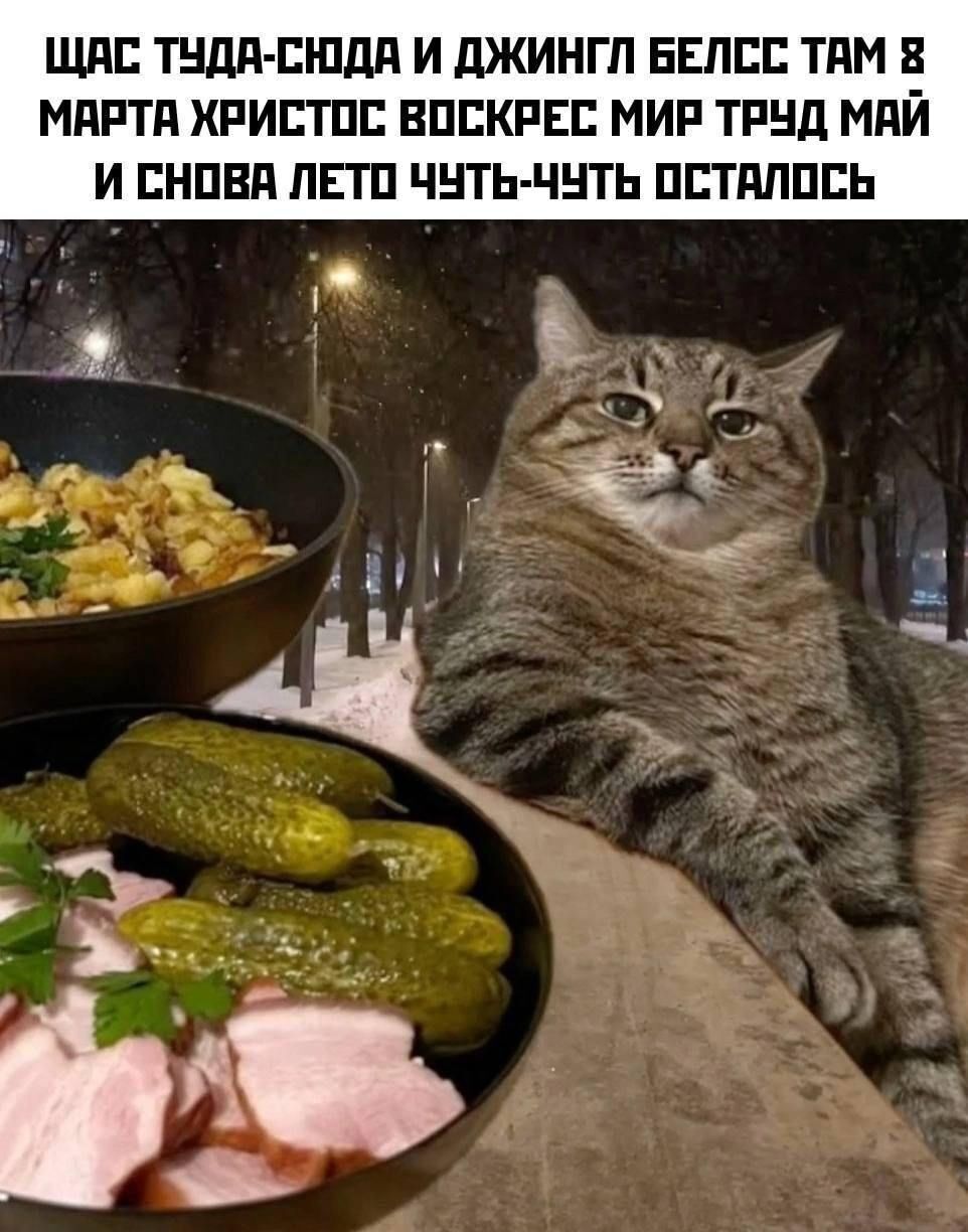 ЩАС ТУДА-СЮДА И ДЖИНГЛ BELLS ТАМ 8 МАРТА ХРИСТОС ВОСКРЕС МИР ТРУД МАЙ И СНОВА ЛЕТО ЧУТЬ-ЧУТЬ ОСТАЛОСЬ