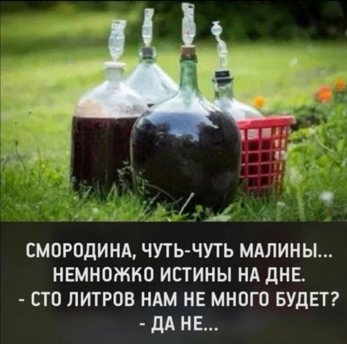 Смородина, чуть-чуть малины... немножко истины на дне. - Сто литров нам не много будет? - Да не...