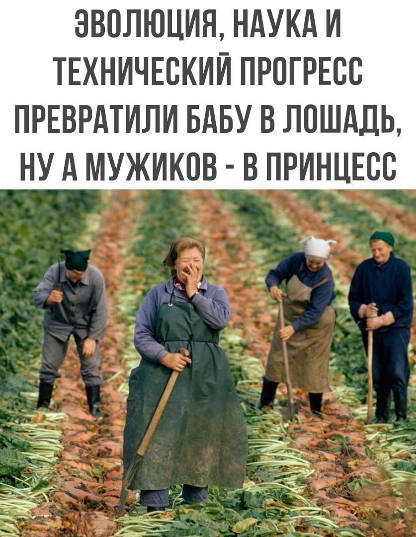Эволюция, наука и технический прогресс превратили бабу в лошадь, ну а мужиков - в принцесс