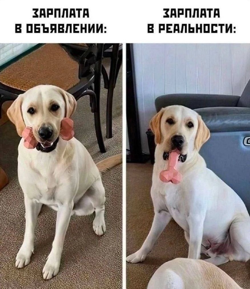 ЗАРПЛАТА В ОБЪЯВЛЕНИИ:

ЗАРПЛАТА В РЕАЛЬНОСТИ: