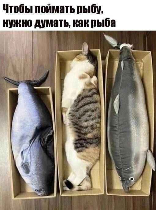 Чтобы поймать рыбу, нужно думать, как рыба