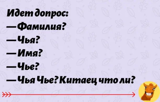 Идет допрос: —Фамилия? —Чья? —Имя? —Чьё? —Чья Чьё? Китайец что ли?