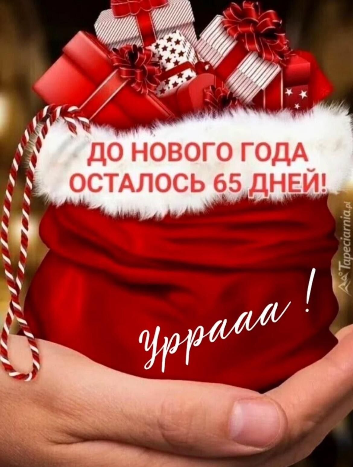 До Нового года осталось 65 дней!