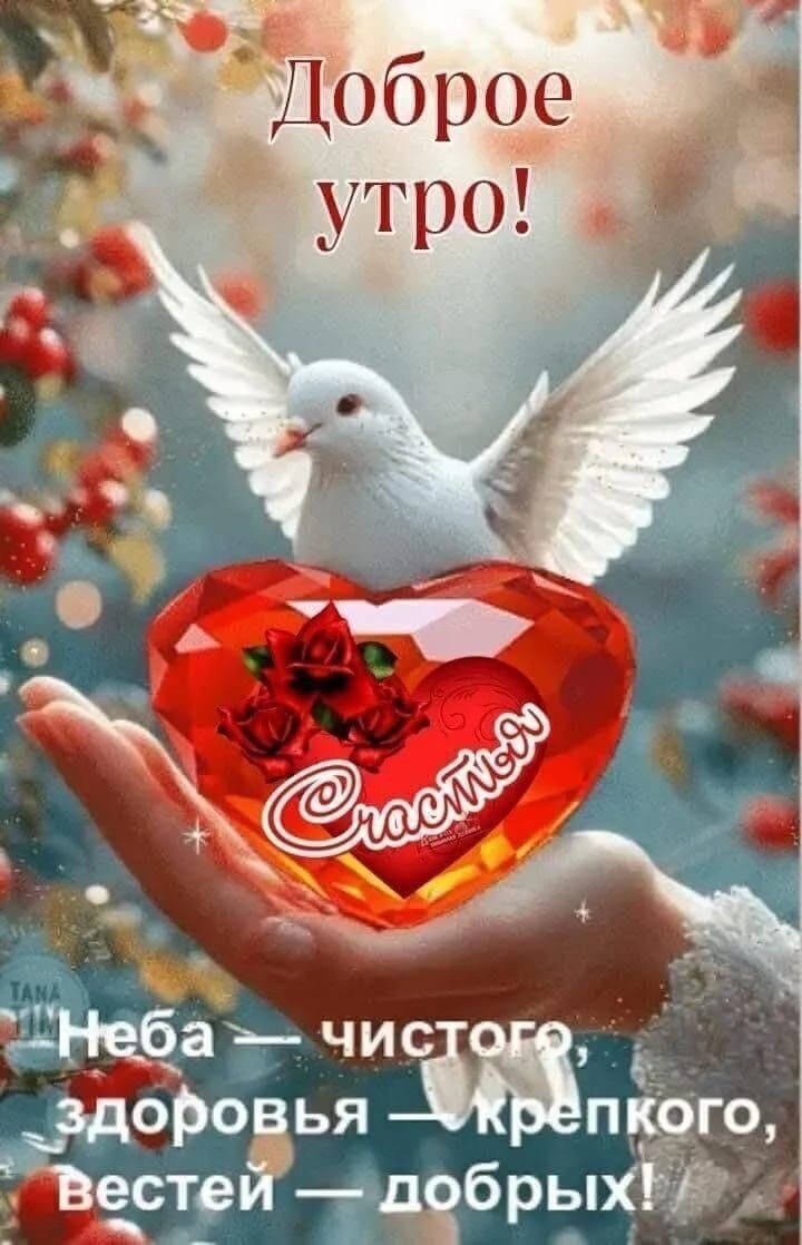 Доброе утро!
Неба — чистого, здоровья — крепкого, вестей — добрых!