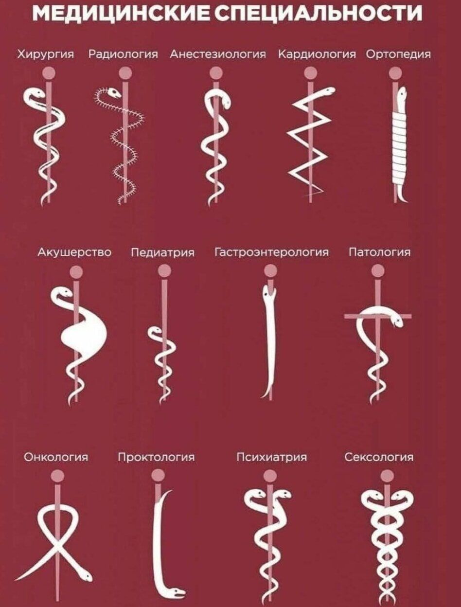 МЕДИЦИНСКИЕ СПЕЦИАЛЬНОСТИ Хирургия Радиология Анестезиология Кардиология Ортопедия Акушерство Педиатрия Гастроэнтерология Патология Онкология Проктология Психиатрия Сексология