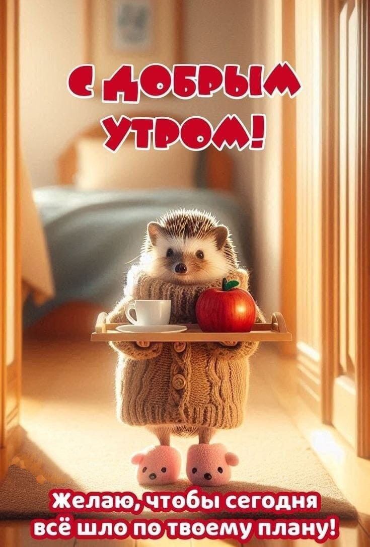 С ДОБРЫМ УТРОМ! Желаю, чтобы сегодня всё шло по твоему плану!