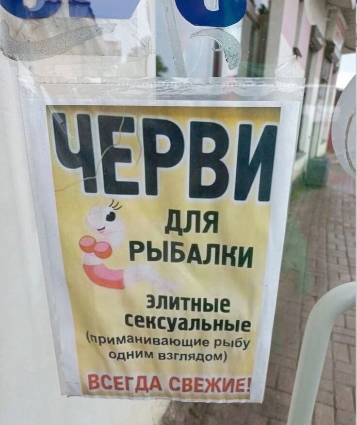 ЧЕРВИ ДЛЯ РЫБАЛКИ ЭЛИТНЫЕ СЕКСУАЛЬНЫЕ (приманивающие рыбу одним взглядом) ВСЕГДА СВЕЖИЕ!