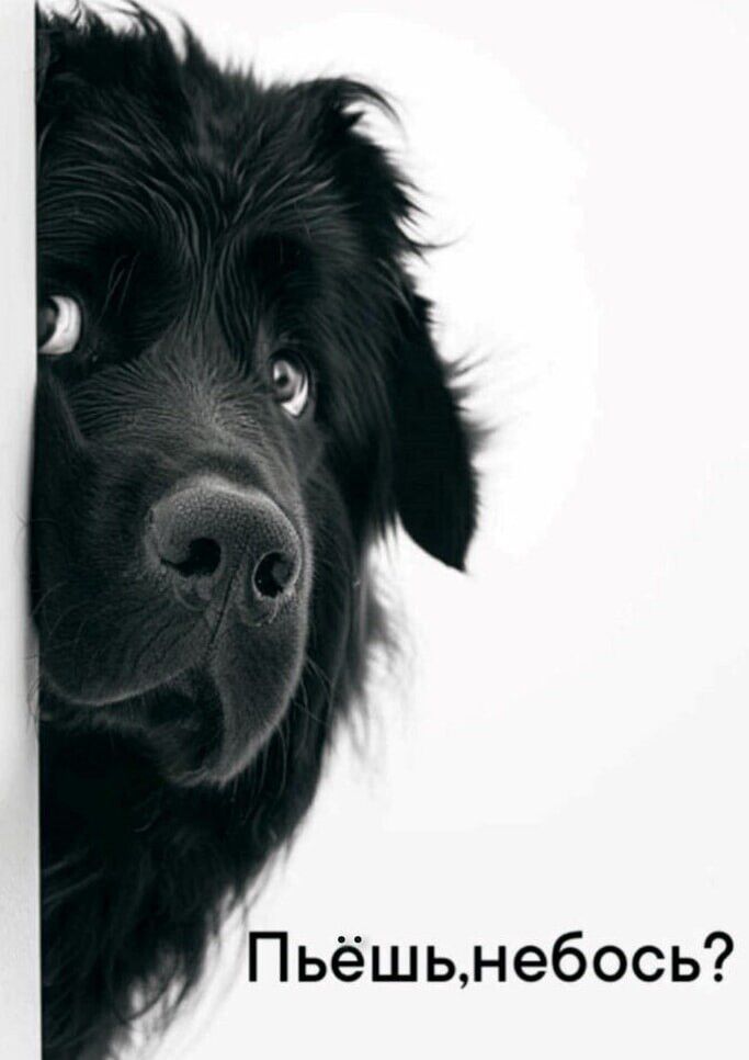 Пьёшь, небось?