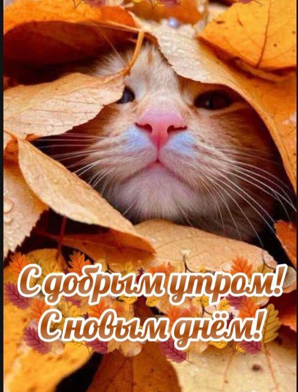 С добрым утром! С новым днём!