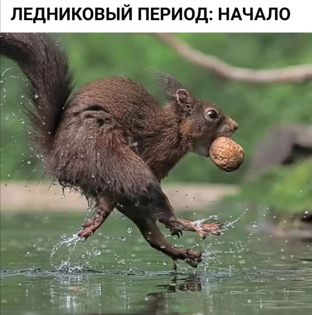 ЛЕДНИКОВЫЙ ПЕРИОД: НАЧАЛО