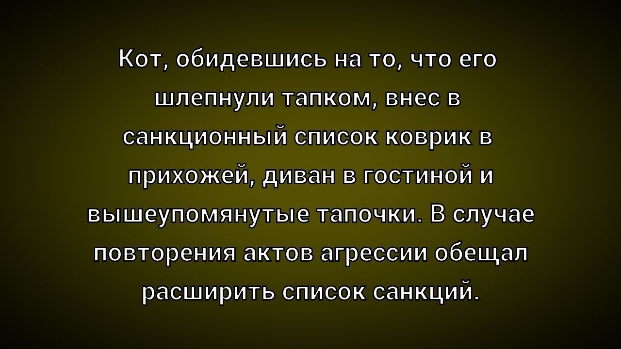 Кот, обидевшись на то, что его шлепнули тапком, внес в санкционный список коврик в прихожей, диван в гостиной и вышепомянутые тапочки. В случае повторения актов агрессии обещал расширить список санкций.