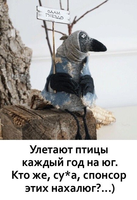 Улетают птицы каждый год на юг. Кто же, су*а, спонсор этих нахалок?…)