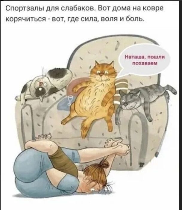 Спортзалы для слабаков. Вот дома на ковре корчиться - вот, где сила, воля и боль. Наташа, пошли похавать
