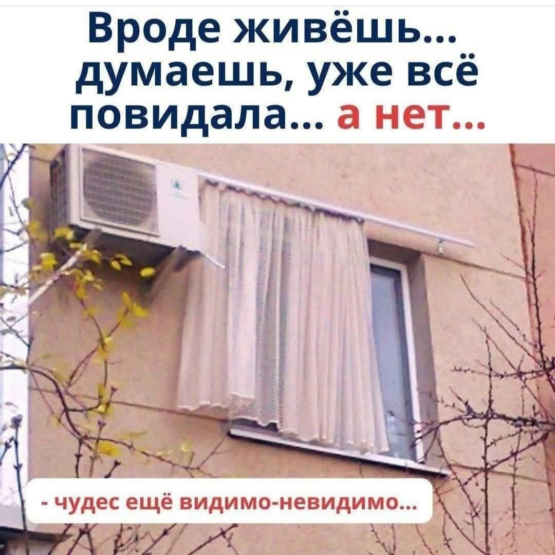 Вроде живёшь... думаешь, уже всё повидала... а нет... - чудес ещё видимо-невидимо...