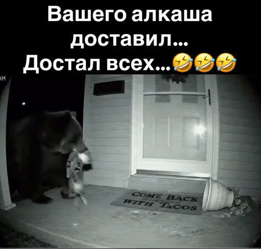 Вашего алкаша доставил... Достал всех...🤣🤣🤣 Come back with tacos