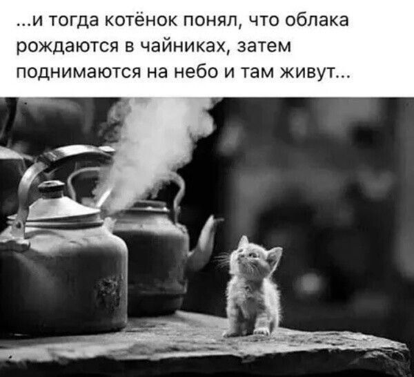 …и тогда котёнок понял, что облака рождаются в чайниках, затем поднимаются на небо и там живут…