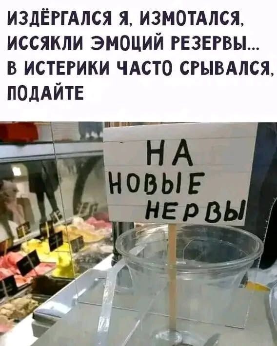 ИЗДЕРГАЛСЯ Я, ИЗМОТАЛСЯ, ИССЯККИ ЭМОЦИЙ РЕЗЕРВЫ... В ИСТЕРИКИ ЧАСТО СРЫВАСЬ, ПОДАЙТЕ НА НОВЫЕ НЕРВЫ