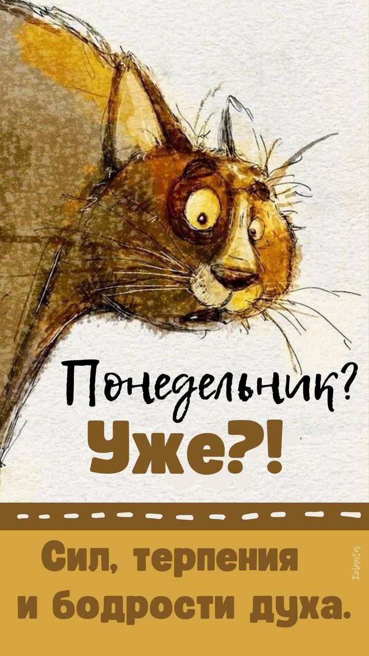 Понедельник? Уже?! Сил, терпения и бодрости духа.