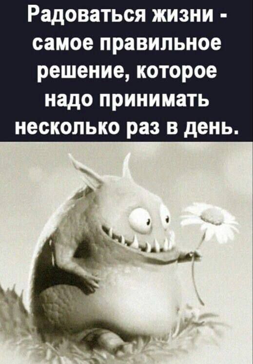 Радоваться жизни - самое правильное решение, которое надо принимать несколько раз в день.