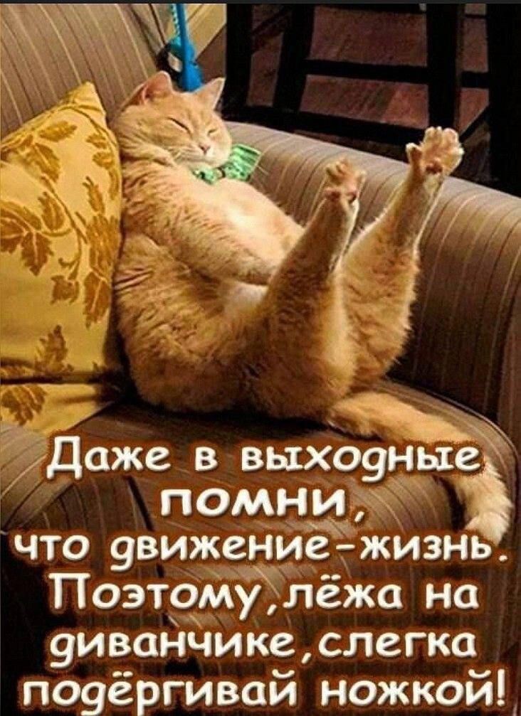 Даже в выходные помни, что движение — жизнь. Поэтому, лежа на диванчике, слегка подёргивай ножкой!