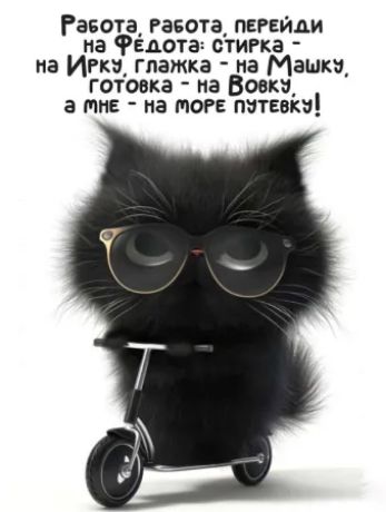 Работа, работа, перрйи на Фёдота: стирка - на Ирку, глажка - на Машку, готовка - на Вовку, а мне - на море путёвку!