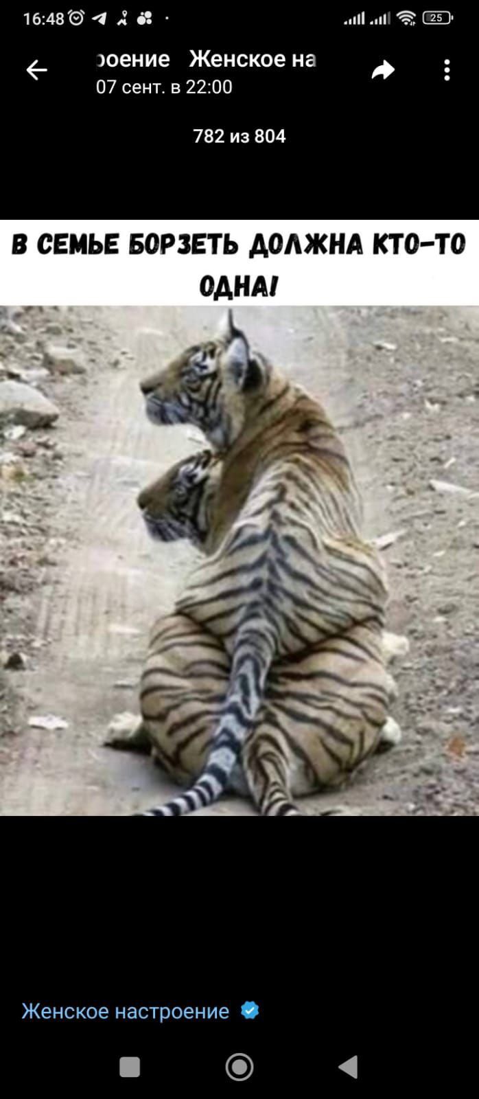 В СЕМЬЕ БОРЗЕТЬ ДОЛЖНА КТО-ТО ОДНА!