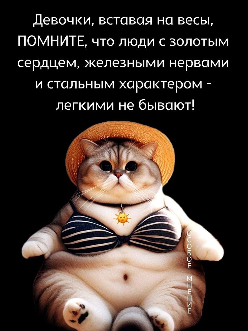 Девочки, вставляя на весы, ПОМНИТЕ, что люди с золотым сердцем, железными нервами и стальным характером - легкими не бывают!