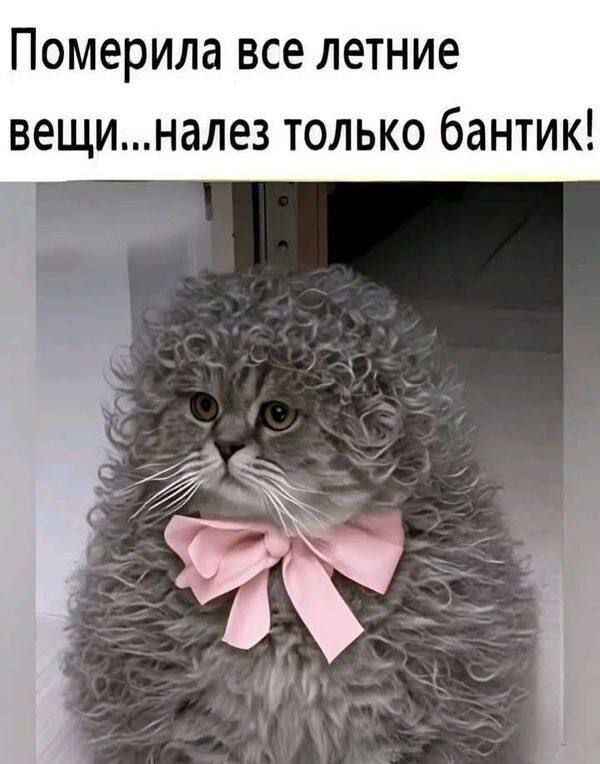 Померила все летние вещи...налез только бантик!