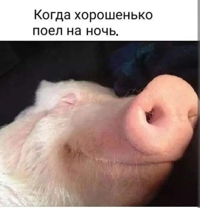 Когда хорошенько поел на ночь.