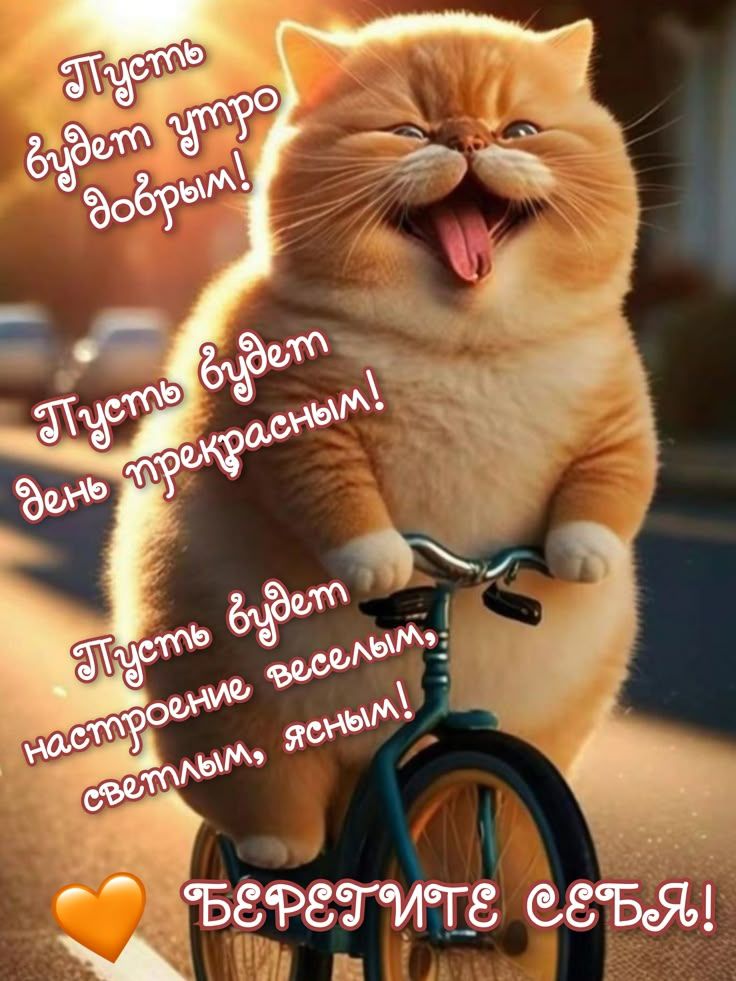 Пусть будет утро добрым! Пусть будет день прекрасным! Пусть будет настроение весёлым и ясным! Берегите себя!