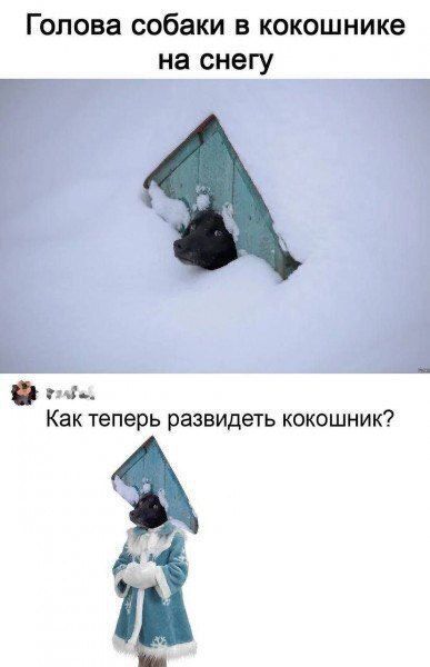 Голова собаки в кокошнике на снегу
Как теперь развидеть кокошник?