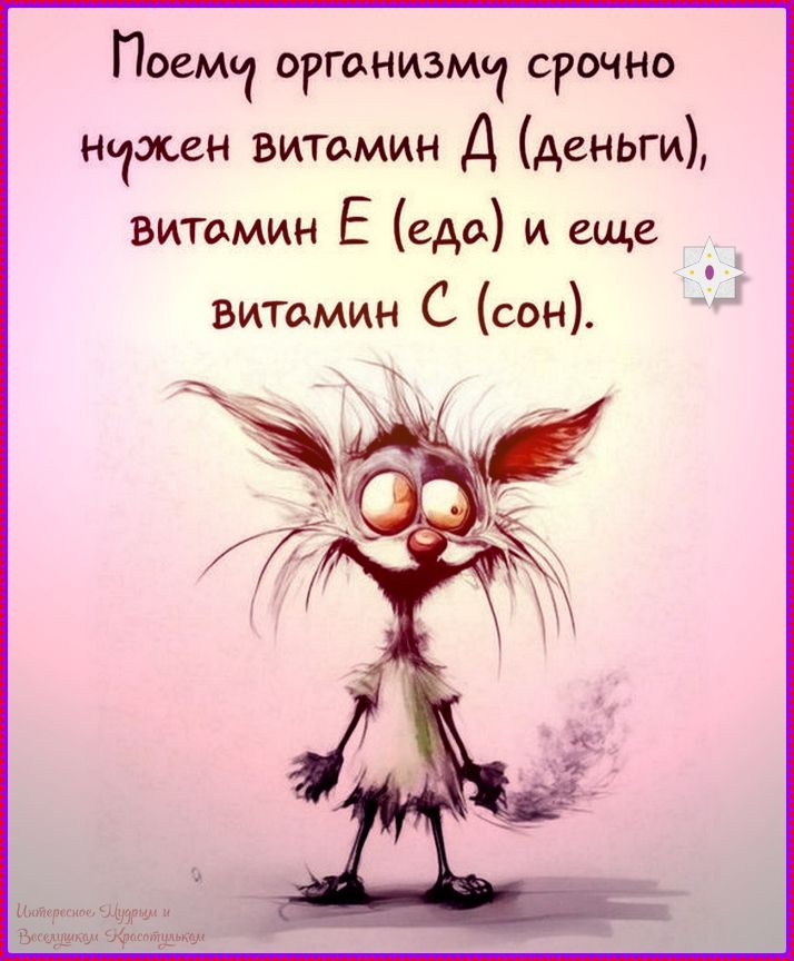 Поемому организму срочно нужен витамин Д (деньги), витамин E (еда) и еще витамин C (сон).