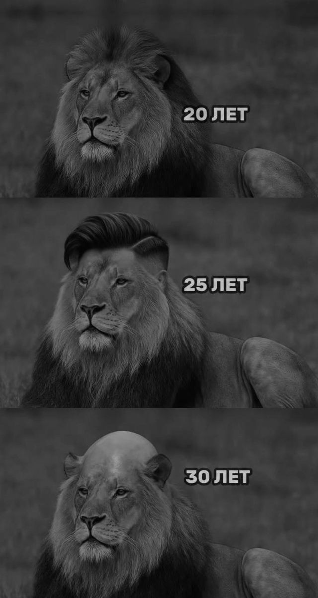 20 лет\n25 лет\n30 лет