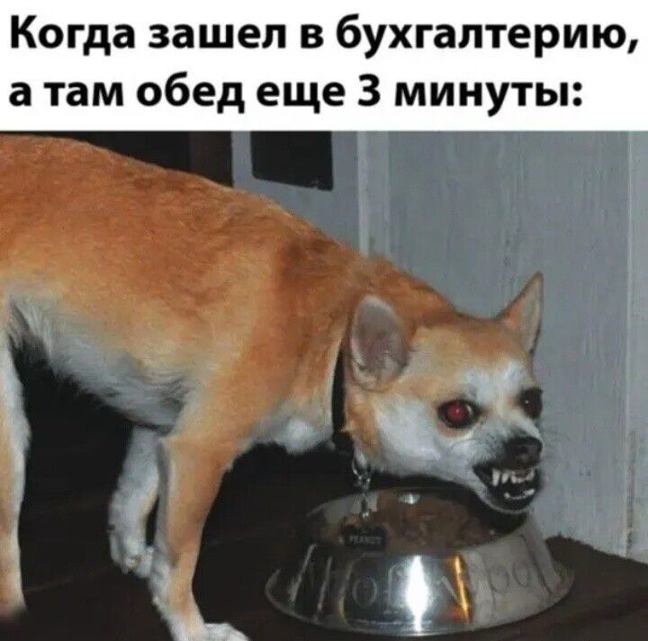 Когда зашел в бухгалтерию, а там обед еще 3 минуты: