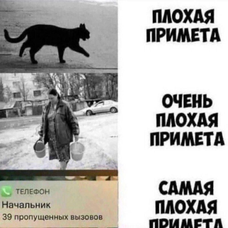 Плохая примета. Очень плохая примета. Самая плохая примета. Начальник 39 пропущенных вызовов.