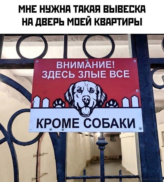 МНЕ НУЖНА ТАКАЯ ВЫВЕСКА НА ДВЕРЬ МОЕЙ КВАРТИРЫ ВНИМАНИЕ! ЗДЕСЬ ЗЛЫЕ ВСЕ КРОМЕ СОБАКИ