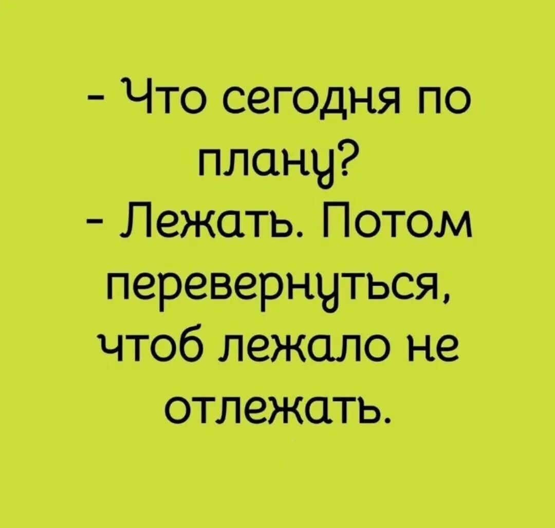 - Что сегодня по плану?
- Лежать. Потом перевернуться, чтоб лежало не откладывать.