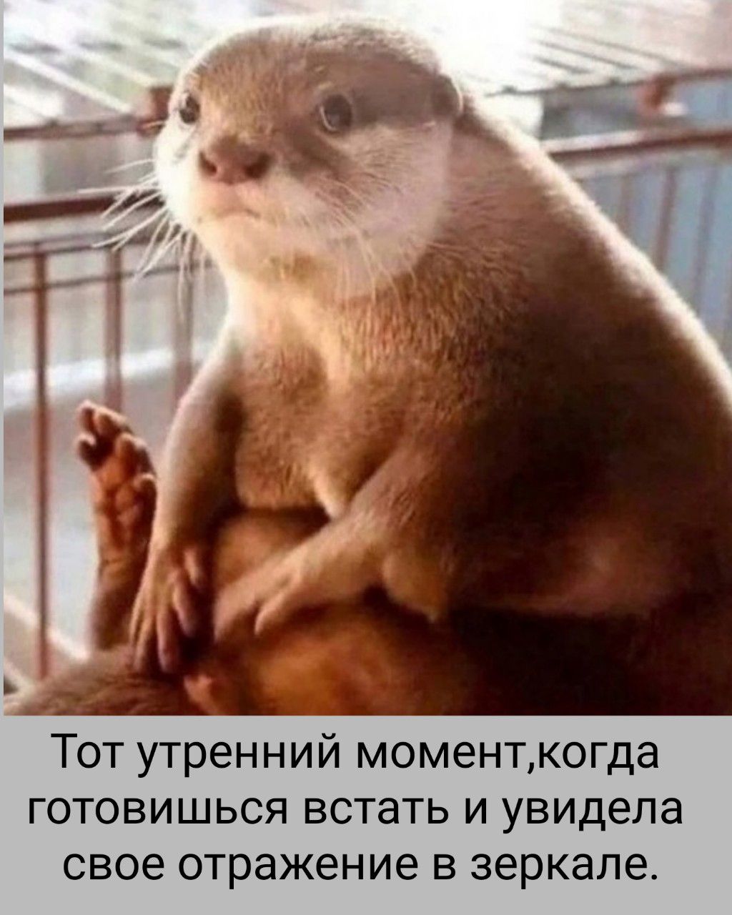 Тот утренний момент,когда готовишься встать и увидела свое отражение в зеркале.