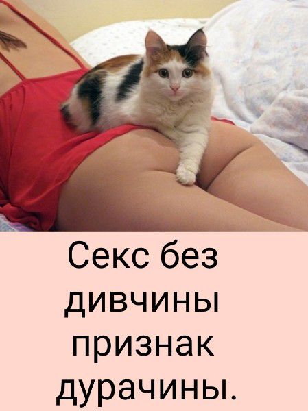 Секс без девичины признак дурачины.