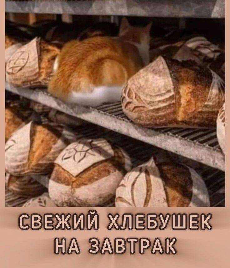 СВЕЖИЙ ХЛЕБУШЕК НА ЗАВТРАК